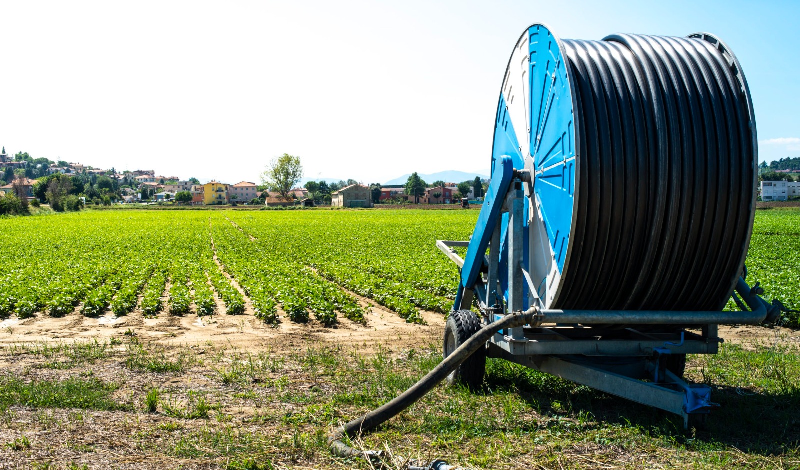 Leading Professional Irrigation Services in Euless, TX for Lush Green Lawns